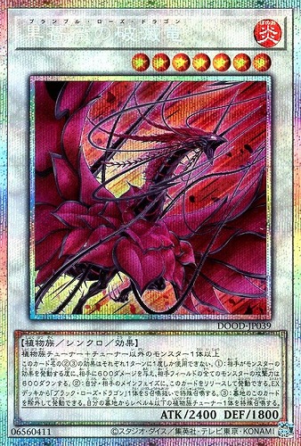 カード一覧